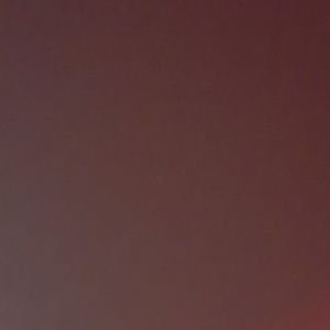 Meet your Posher, Lippy